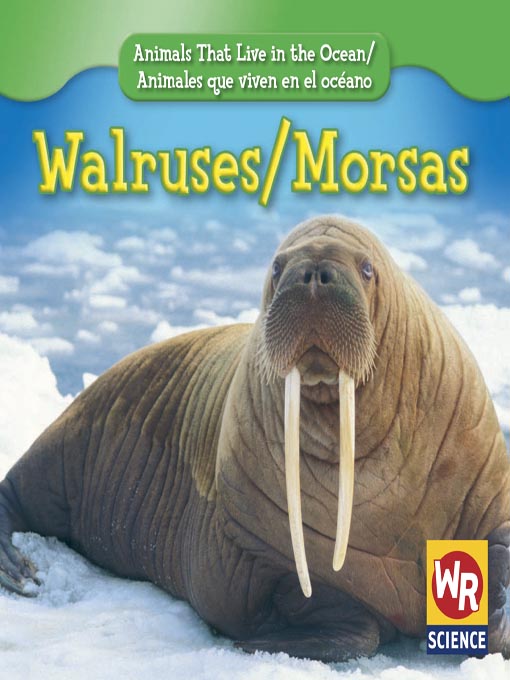 Cover image for Walruses/Morsas